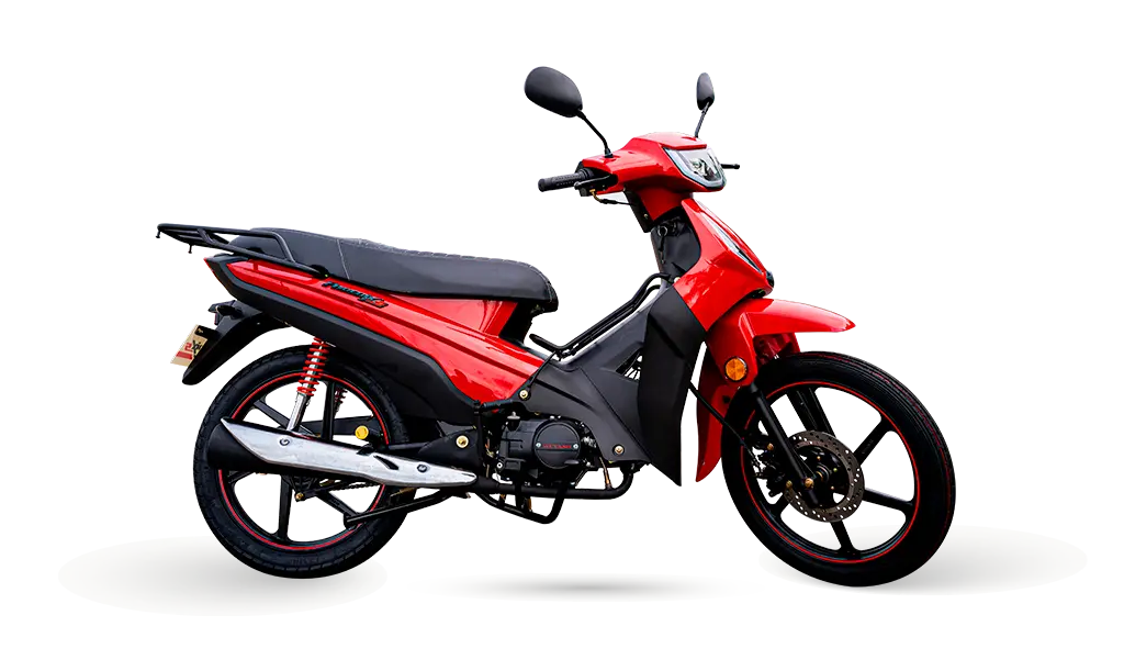 Phoenix-S-EFI-Cor-1-2